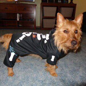 3 for $18 Martha Stewart Skeleton Halloween Dog Costume Size Large